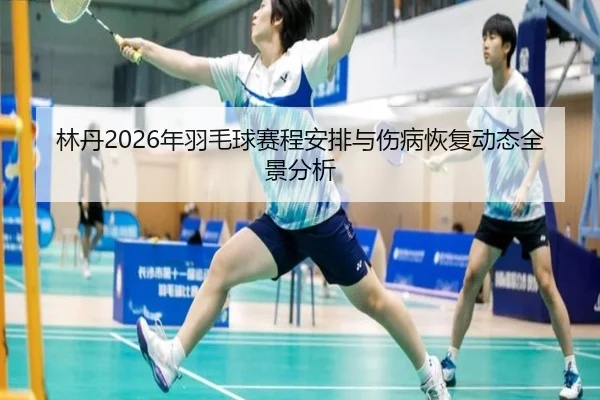 lin-dan-nian-yu-mao-qiu-sai-cheng-an-pai-yu-shang-bing-hui-fu-dong-tai-quan-jing-fen-xi-2-208.jpg